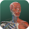 万康人体解剖 V3.0.9 安卓版